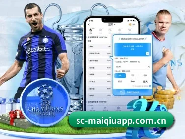 买球官网 APP